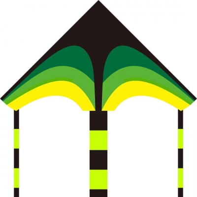 Custom Printed Kite Outdoor Kids Kite